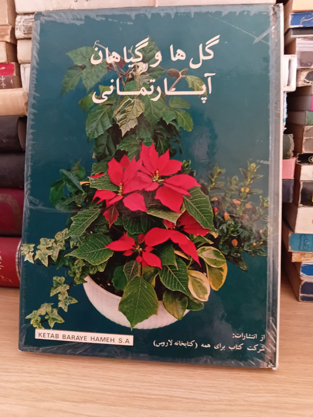 ۲۲ - گل ها و گیاهان آپارتمانی
