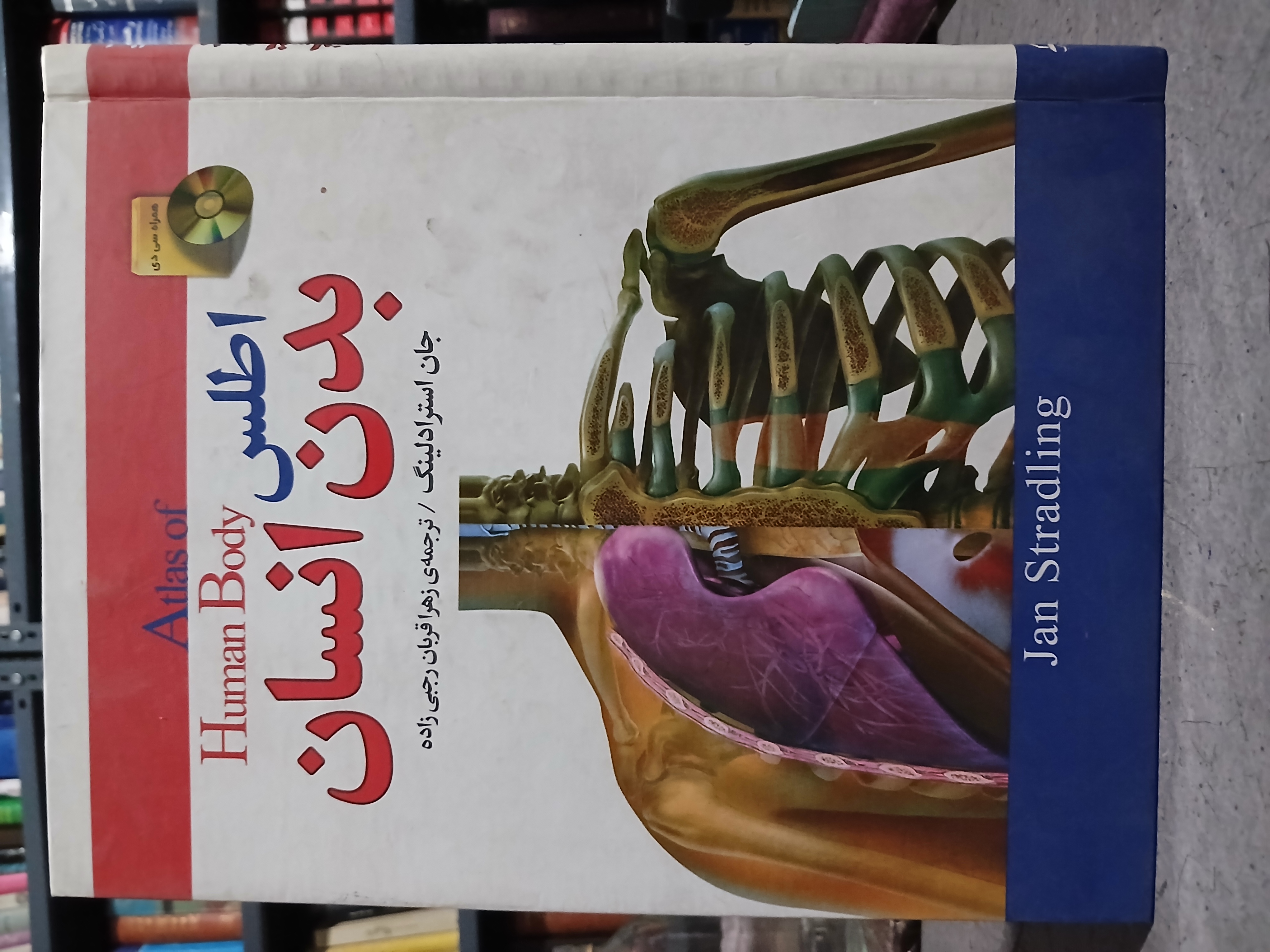 ۶۵ - اطلس بدن انسان