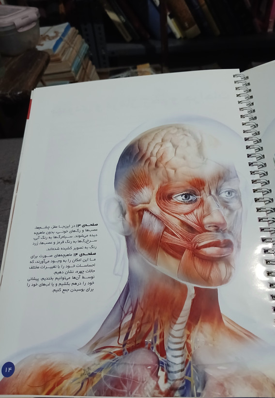 ۶۵ - اطلس بدن انسان